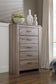 Zelen / Panel Headboard With Mirrored Dresser, Chest And Nightstand